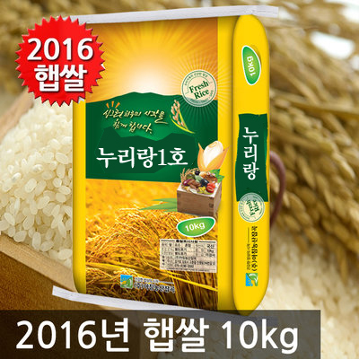 [2016 ݽ 10kg]  ,   ģȯ   ְ 